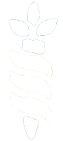 Logo Footer