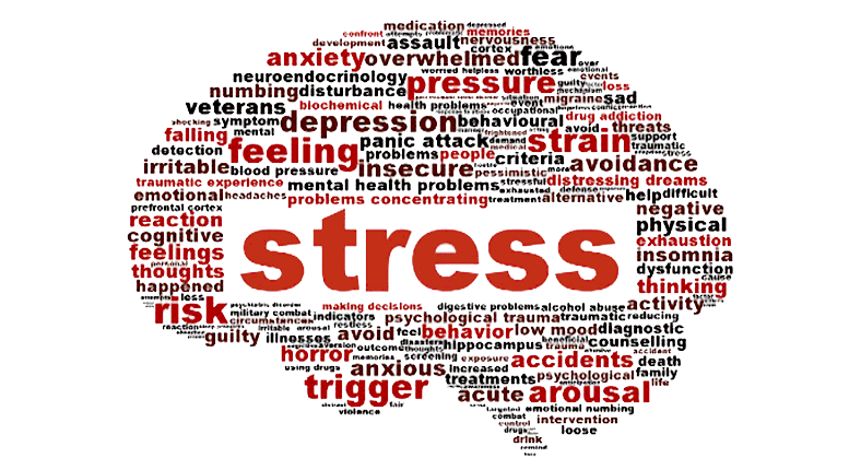 STRESS: EFFECTS ON YOUR BODY AND MIND Image